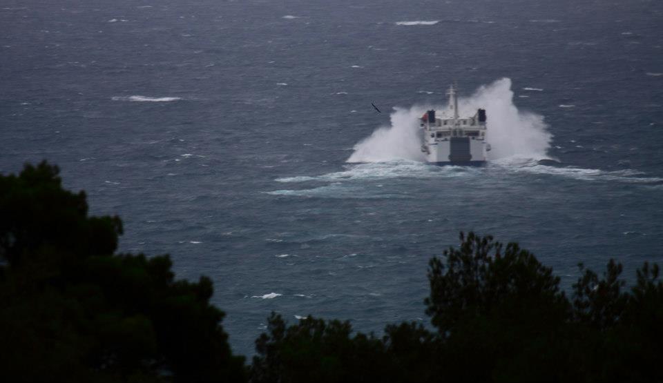 Slika preuzeta od: Foto For