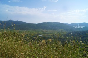 Blatsko polje