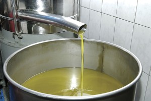 Izvor: uljarazlokic.com