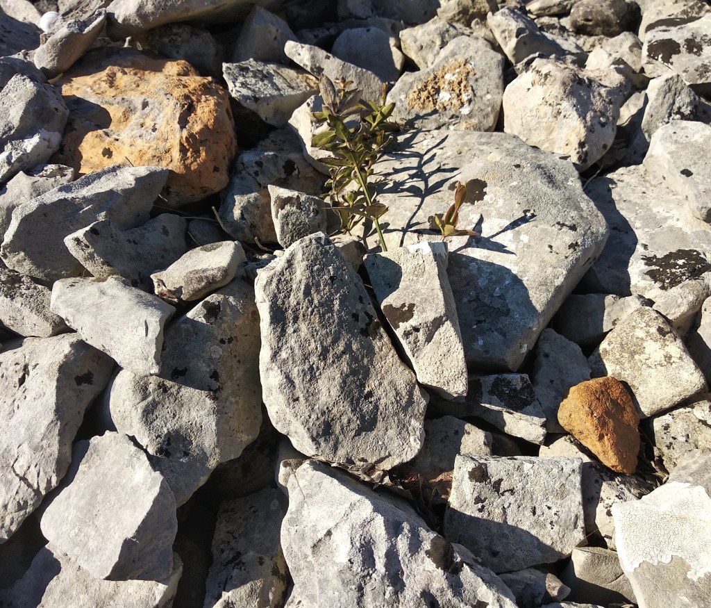 U blizini crkvice mogu se pronaći ulomci grube antičke keramike.